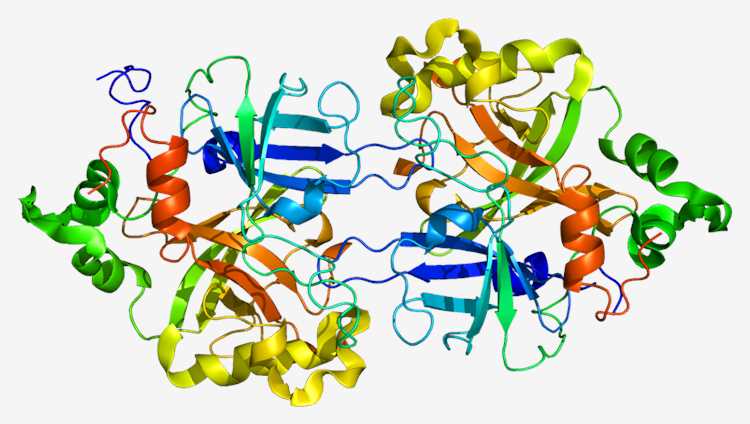 First Potential Oral Monotherapy For Paroxysmal Nocturnal ...