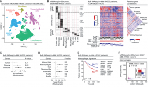 Scientists Reveal A Unique Mechanism Of Gene Expression Coordination In