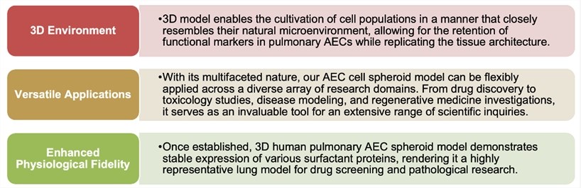 3D Human Pulmonary Alveolar Epithelial Cell Spheroid Model Introduction