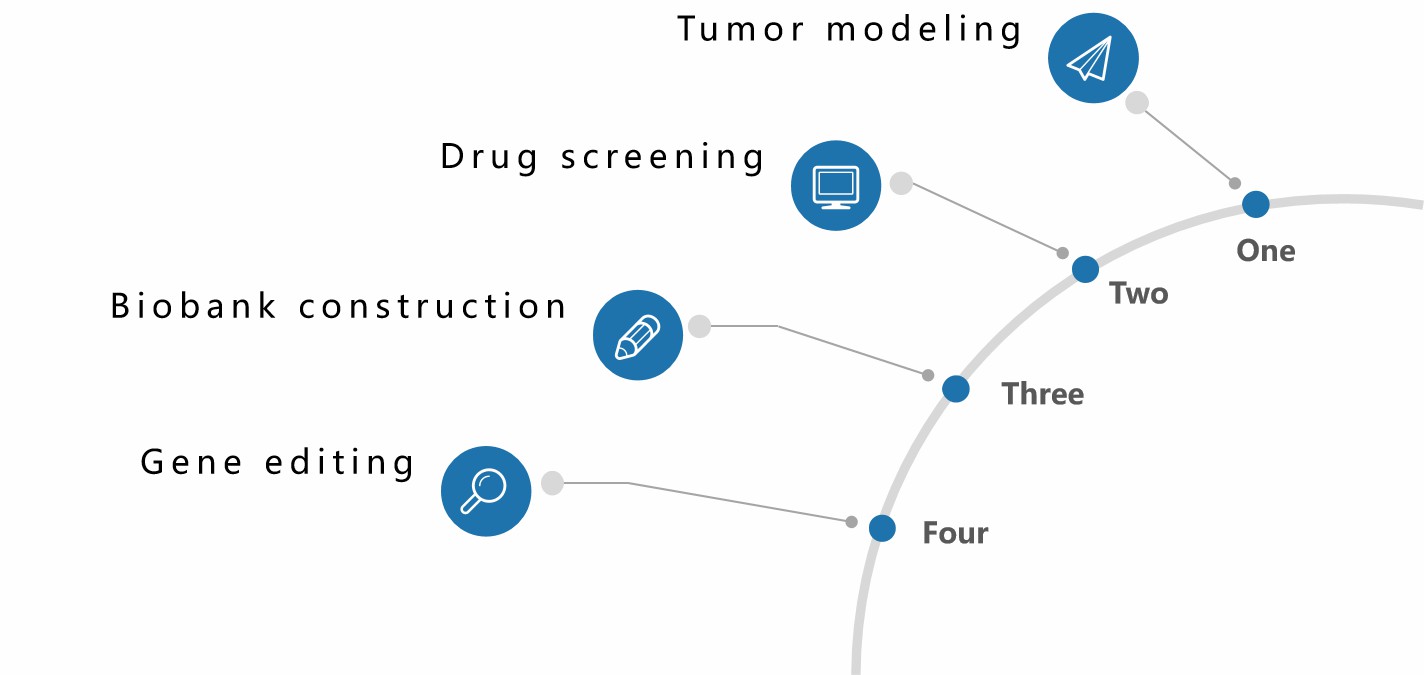 Applications of patient-derived lung cancer organoids. (Creative Biolabs)