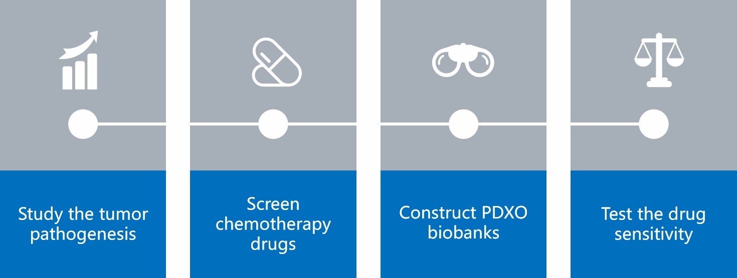 Main applications of PDX-derived cholangiocarcinoma organoids. (Creative Biolabs)