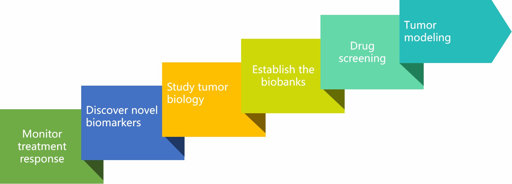 Main applications of PDX-derived colorectal cancer organoids. (Creative Biolabs)