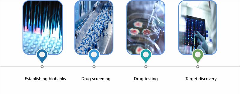 Applications of PDXO tumor models. (Creative Biolabs)