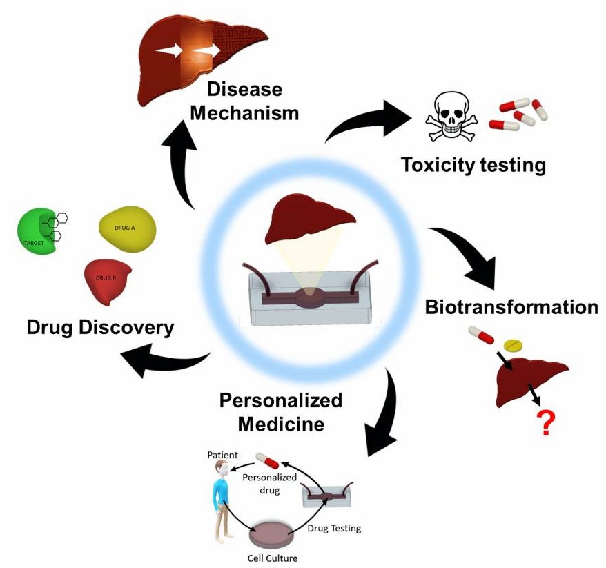 Overview of various medical application of liver-on-a-chip and liver-disease-on-a-chip systems.