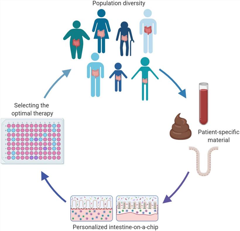 Precision medicine based on personalized intestine-on-a-chip models.