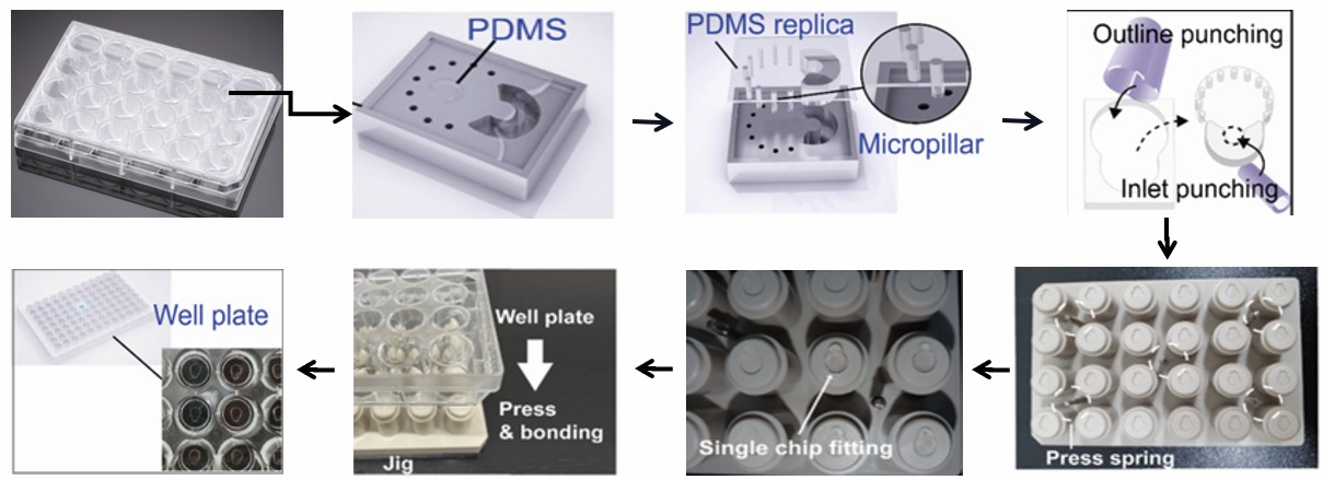 Fabrication process of bone-on-a-chip platform.