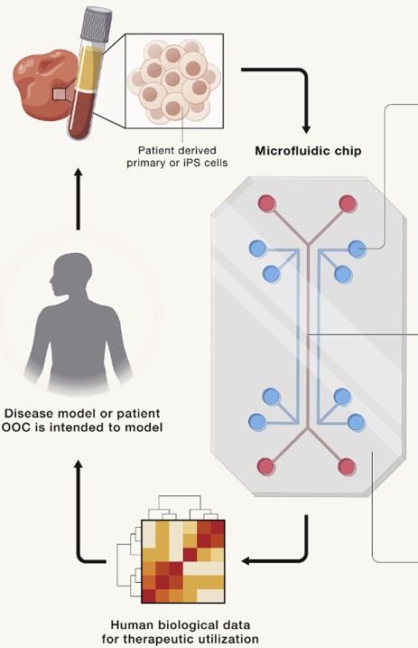 Biological question drives design considerations.