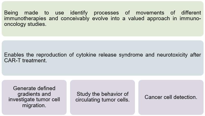 Oncology-on-a-chip Model Introduction