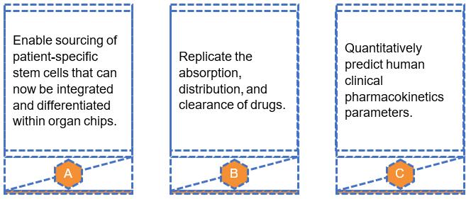 Customized Multiple Organ-on-chip Model Introduction