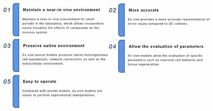 Characteristics of the ex vivo model. (Creative Biolabs)