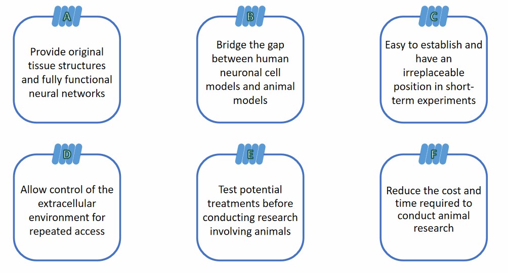 Model features. (Creative Biolabs).