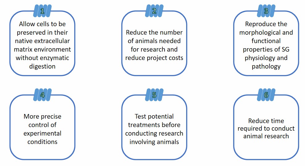 Features of the models. (Creative Biolabs)