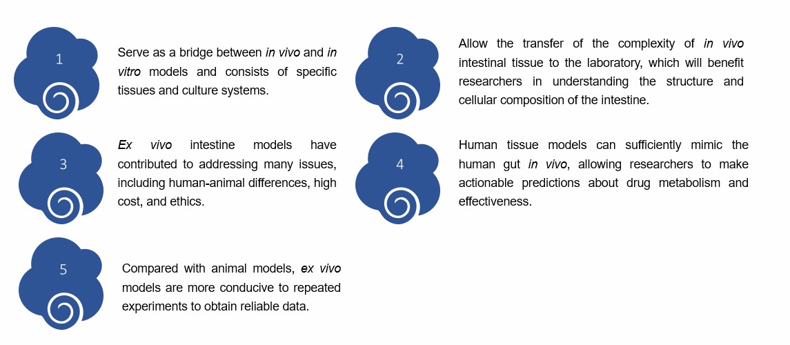 Characteristics of our models. (Creative Biolabs)