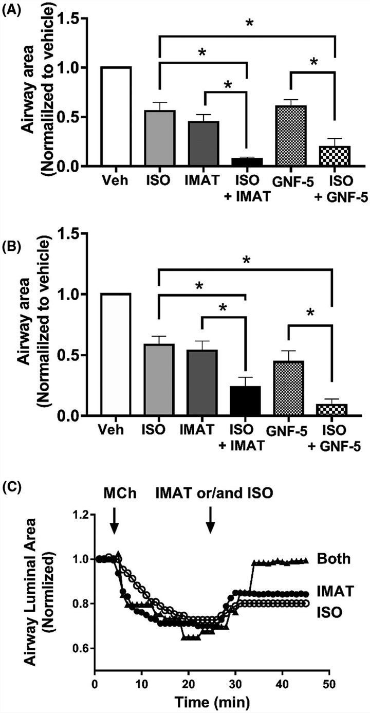 Cooperativity of the c-Abl inhibitors and ISO.