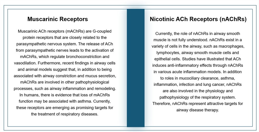 Different types of AChRs.