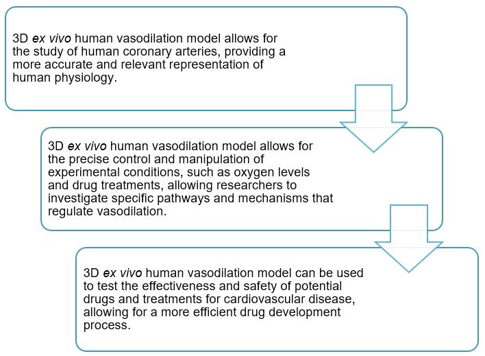 3D Ex Vivo Human Vasodilation Model