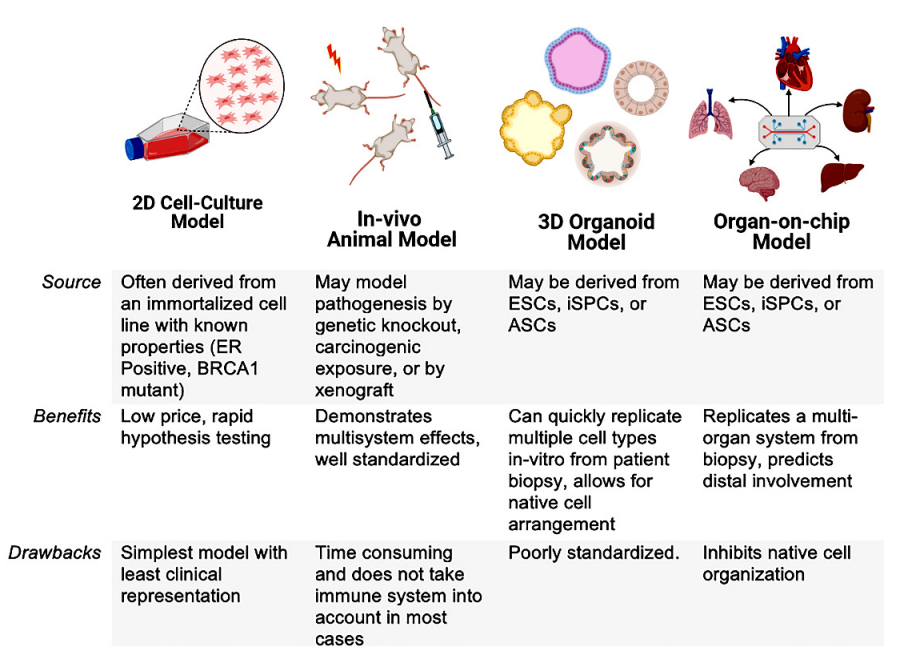 Drawbacks and advantages of available models in oncology.