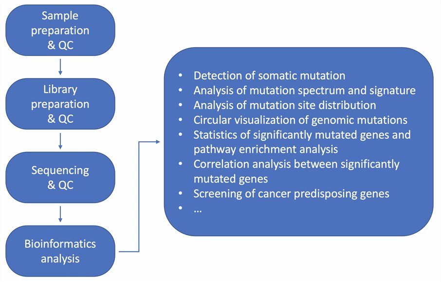 The procedure of whole genome sequencing.