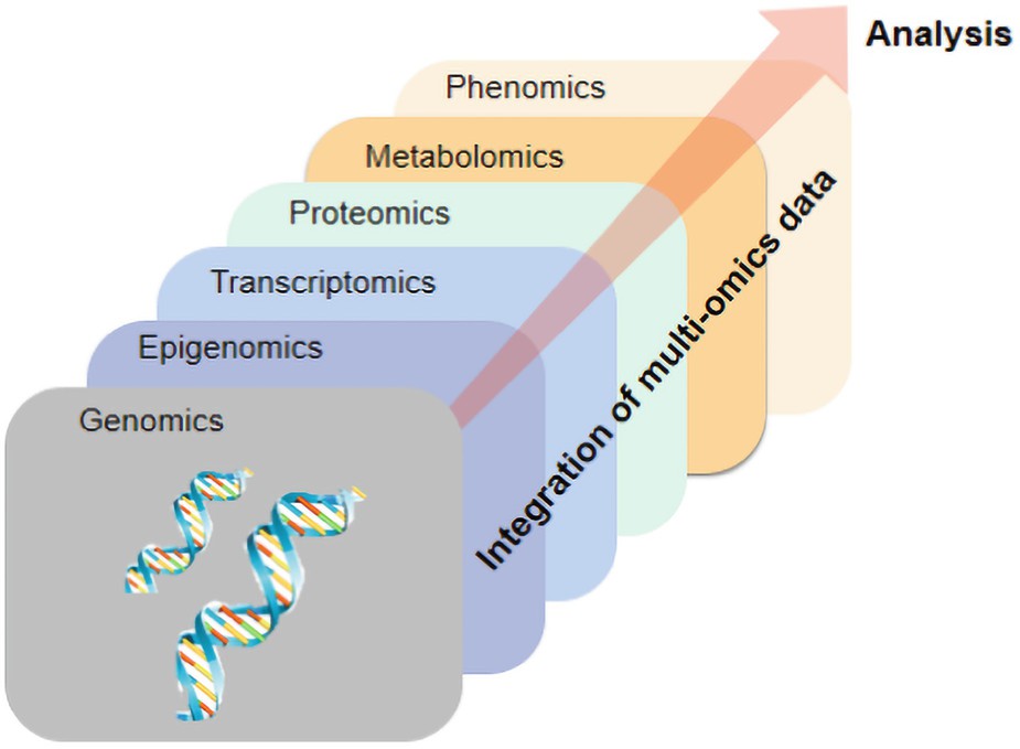 Integrated analysis of the omics data generated from different molecular levels.