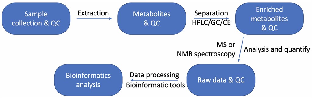 The workflow of metabolome analysis.