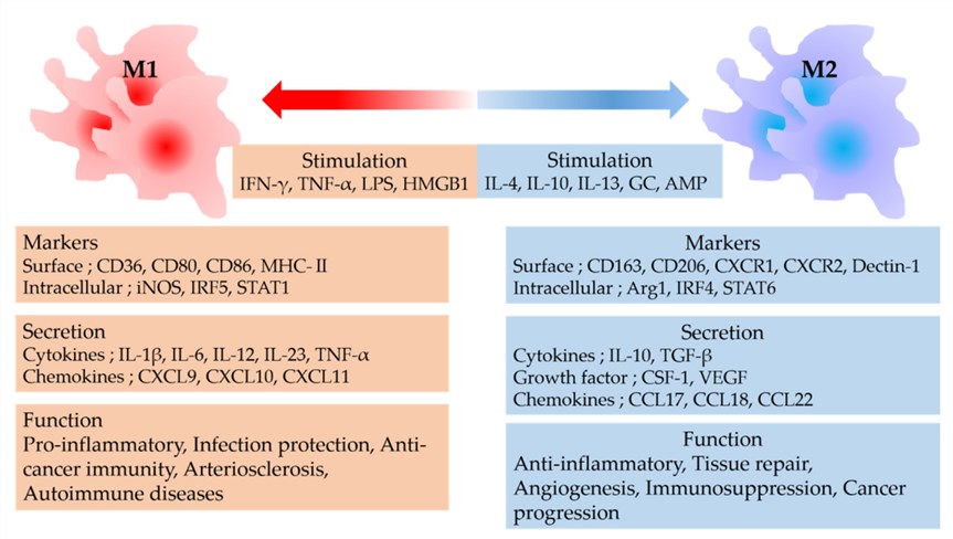 Biomarkers of two phenotypes.