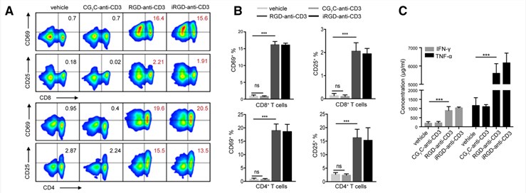 Assesses the ability of the tested object to activate T cells.