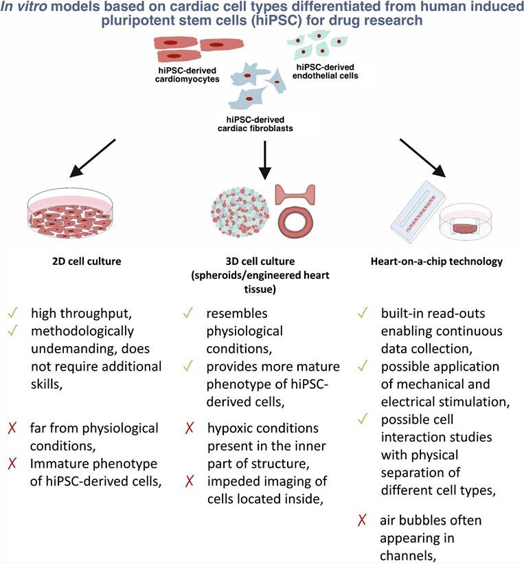 Main advantages and limitations of available models for use in cardiotoxicity studies and new drug development. (Andrysiak, 2021)