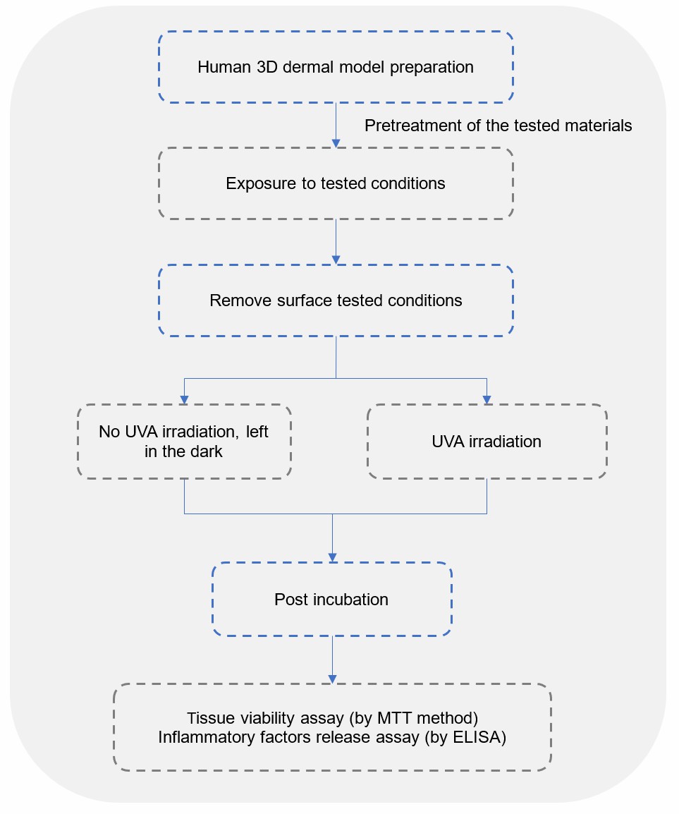 Evaluation Workflow (Creative Biolabs)