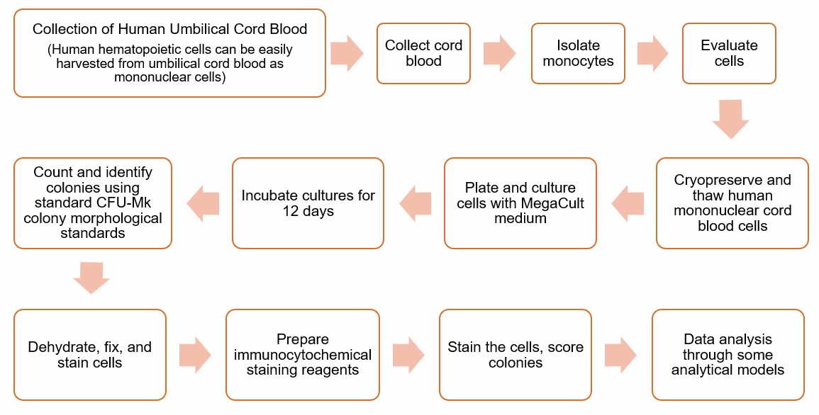 Standard Procedure of CFU-GM Assays (Creative Biolabs)