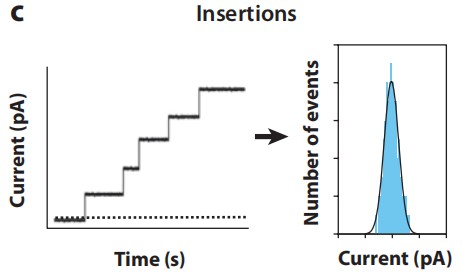 Sample depiction of the current changes. (Delcour, 2013)