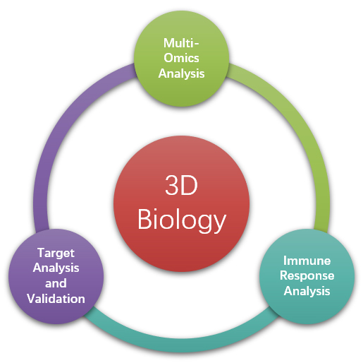 Immune Response Analysis Services