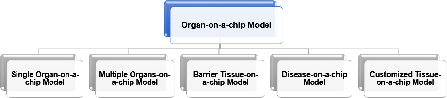 Organ-on-a-chip Model