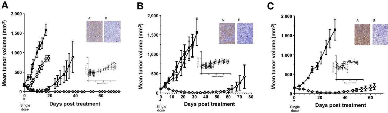 Fig. 2. In vivo efficacy of MORAb-202. (Cheng X, et al., 2018)