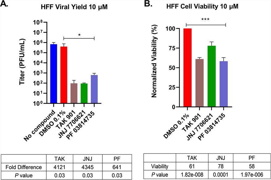 Aurora kinase inhibitors reduced HSV-1 titers in primary HFF cultures. (Ly, et al., 2023)