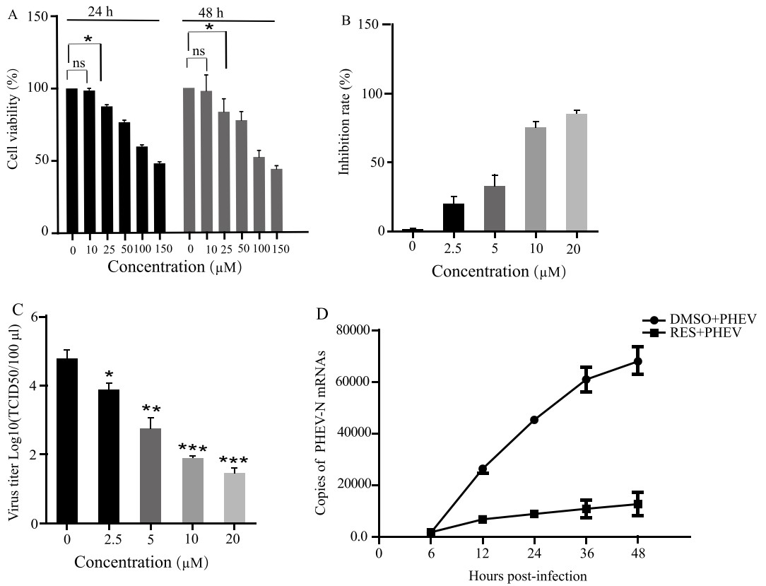 Resveratrol's cytotoxicity and antiviral effects against Porcine hemagglutinating encephalomyelitis virus. (Liu, et al., 2022)