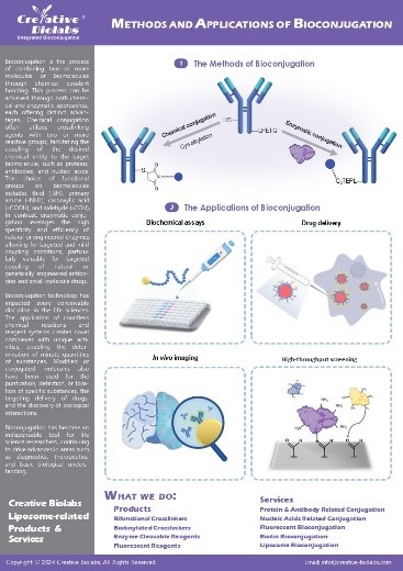 Fig.1 Methods and applications of bioconjugation. (Creative Biolabs Original)