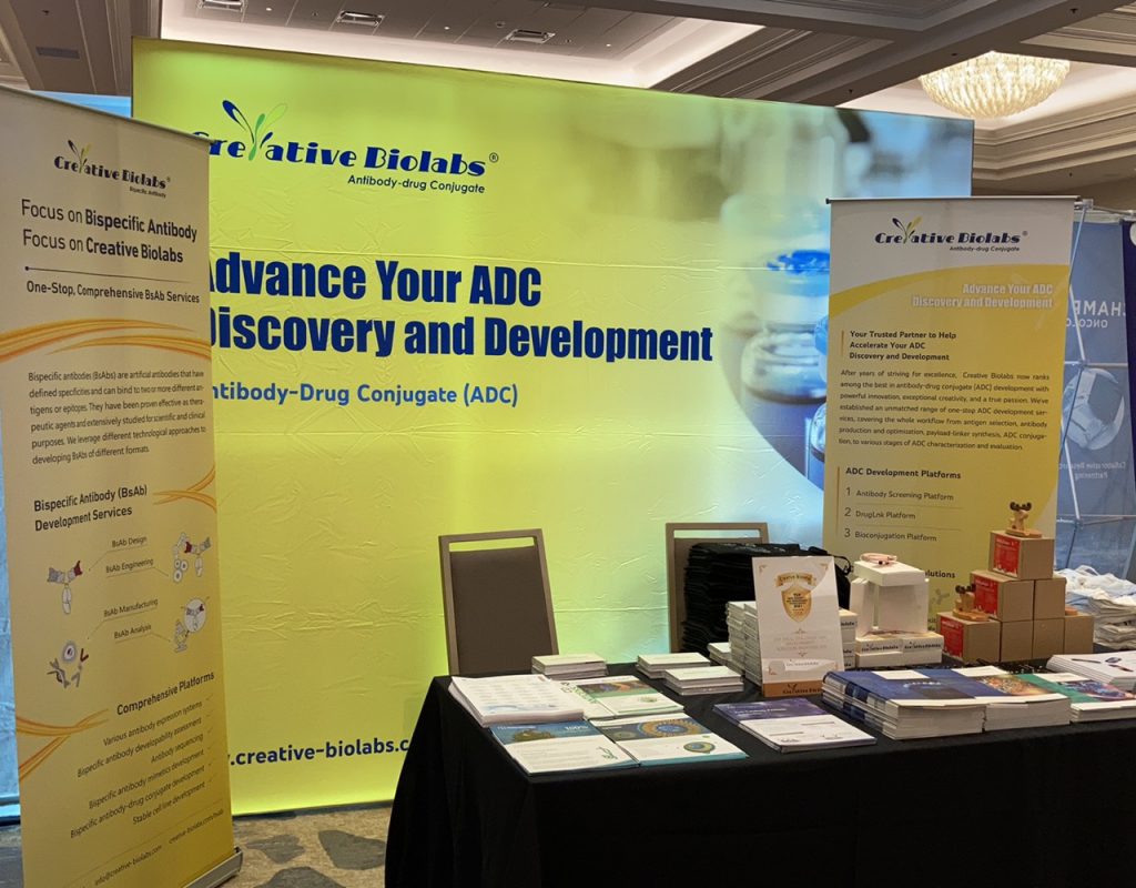 Recap of the 13th World ADC San Diego Discovering Innovative Conjugate