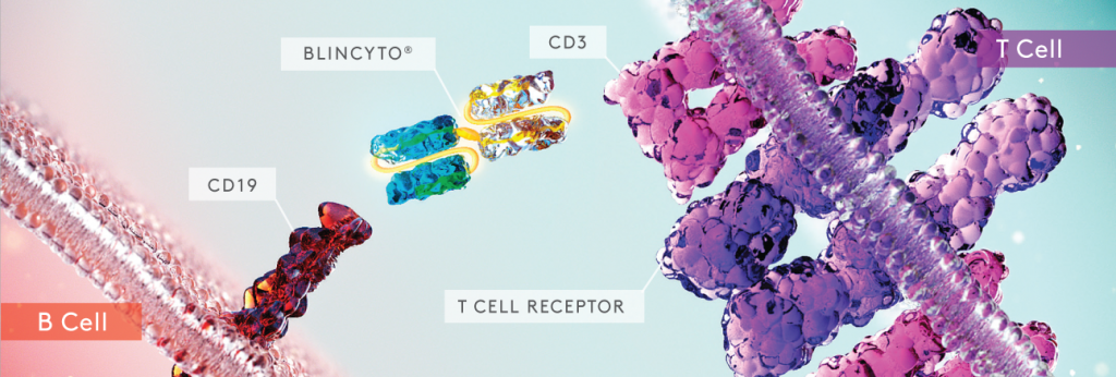 Amgen Bispecific Antibody BLINCYTO® (blinatumomab) Significantly ...