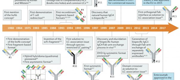 Bispecific Antibody Clinic – Creative Biolabs Bispecific Antibody Blog