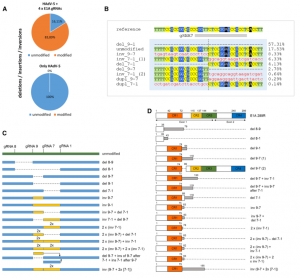 CRISPR-Cas9-Based Therapies Show Promise In Treating Adenovirus ...