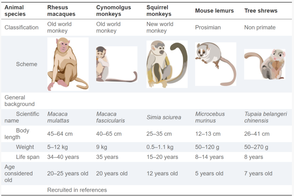 Comprehensive review of the latest progress in research on non-human ...