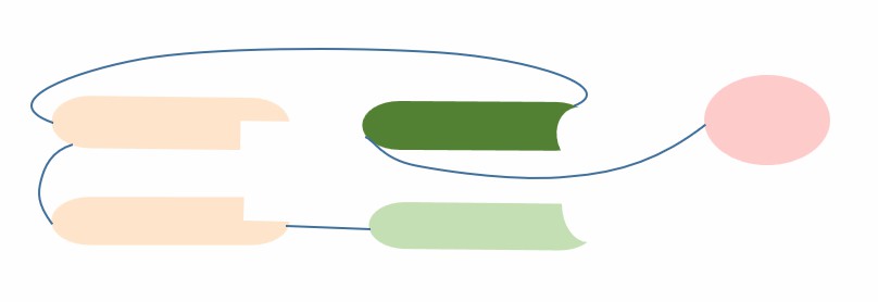 The schematic diagram of the structure of scDiabody-HAS (Creative Biolabs)