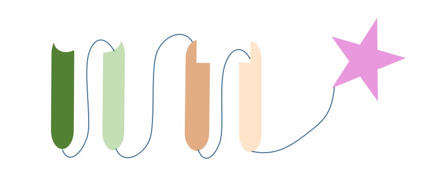 The schematic diagram of the structure of Tandem scFv-Toxin (Creative Biolabs)