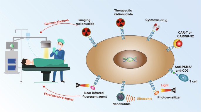 Tumor therapies targeting PSMA (Wang F, 2022)