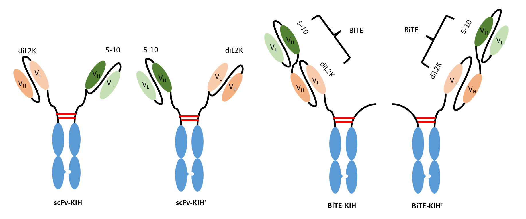 KIH scaffolds.