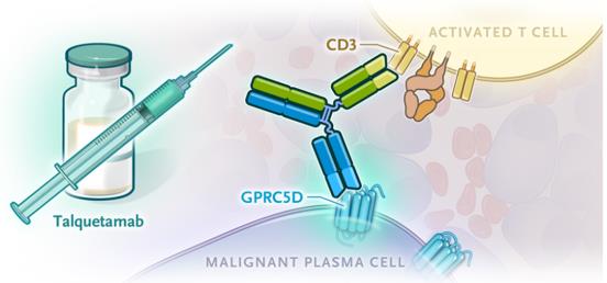 Talquetamab, a Bispecific Antibody for Multiple Myeloma (Chari A, 2022)