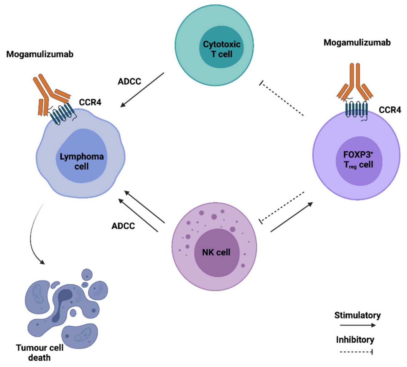 Mechanism of Action of Mogamulizumab (Joana Nunes Ribeiro Dias, 2021)