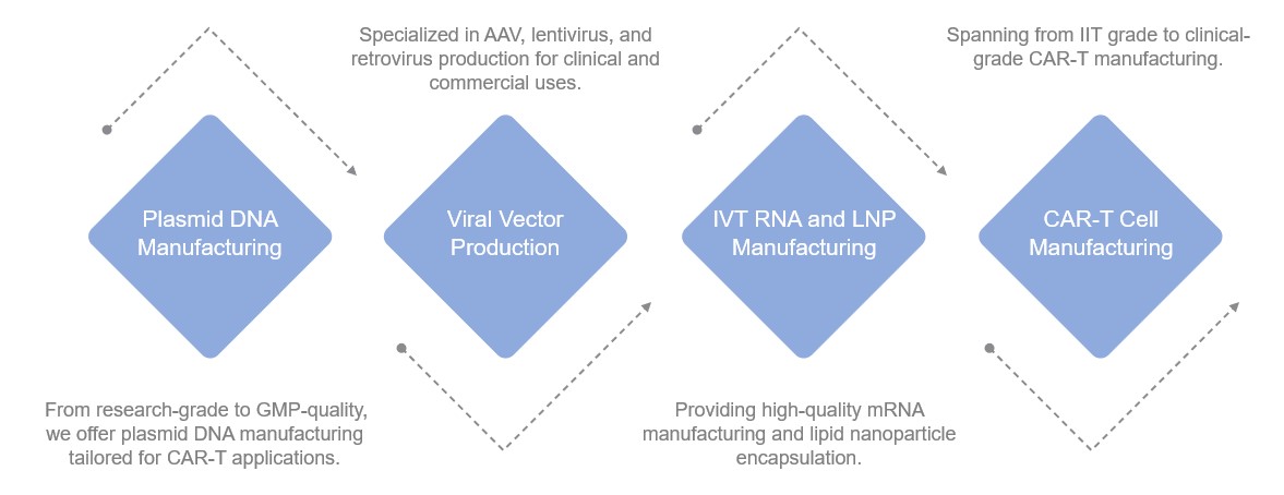 Fig.1 Specialized CAR-T Services. (Creative Biolabs Original)