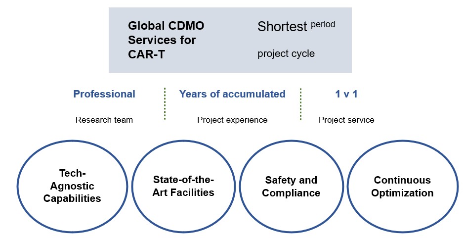 Fig.2 Features of our service. (Creative Biolabs Original)