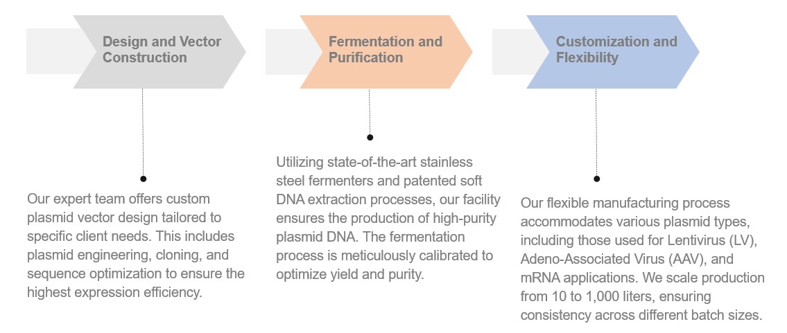 Fig.1 Service content. (Creative Biolabs Original)